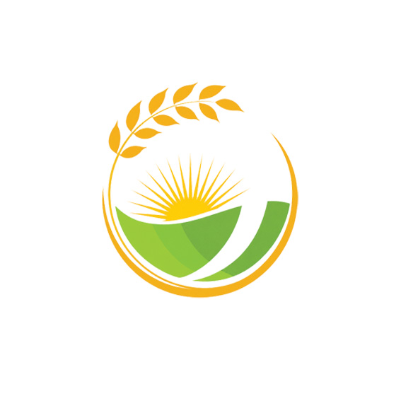 شركة محاصيل الأرز  المباركة للتجارة